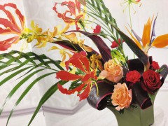 ８月２１日サマーアイランド